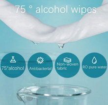 Load image into Gallery viewer, Disposable 75% Alcohol Wipes (10-Pack)