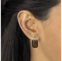 Load image into Gallery viewer, 18K Gold-Plated Smoky Quartz Fashion Earrings