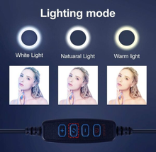 Load image into Gallery viewer, 10-inch Selfie Tripod Light with Smart Phone Holder