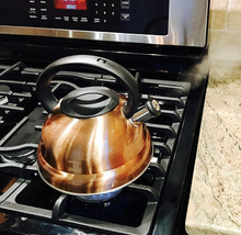Load image into Gallery viewer, Cool Grip Stainless Steel 3L Whistling Tea Kettle