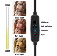 Load image into Gallery viewer, 10-inch Selfie Tripod Light with Smart Phone Holder
