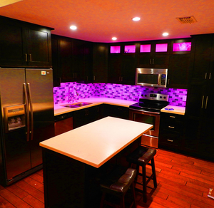 22-Inch UV Blacklight LED Light Bar with 60-Inch Cord