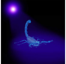 Load image into Gallery viewer, KOBRA 100LED Black Light Flashlight for Stain Inspection
