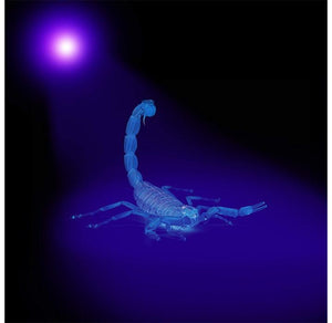 KOBRA 100LED Black Light Flashlight for Stain Inspection