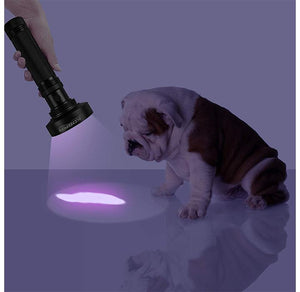 KOBRA 100LED Black Light Flashlight for Stain Inspection